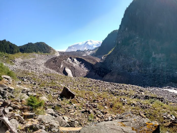 Carbon Glacier Trail Picture 6