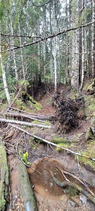 Evans Creek Campground Picture 5