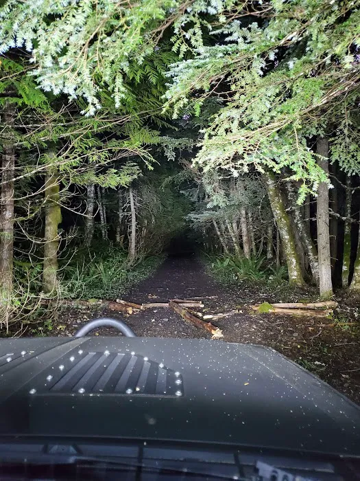 Evans Creek Campground Picture 4