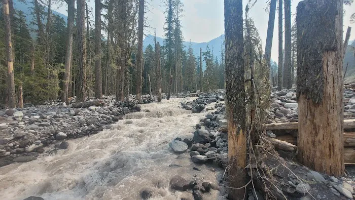 Carbon River Camp Picture 2