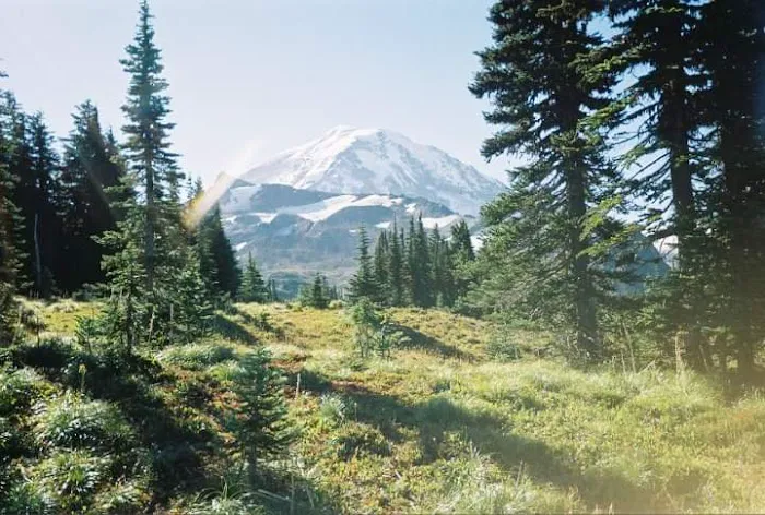 Carbon River Camp Picture 9