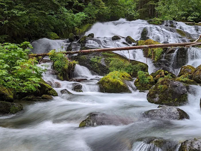 Carbon River Camp Picture 4