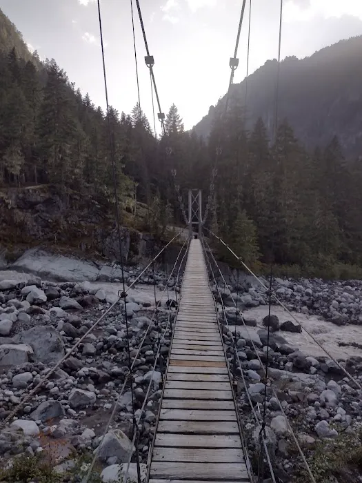 Carbon River Camp Picture 1