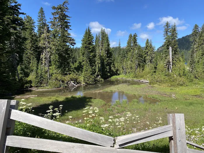 Mowich Lake Campground Picture 5