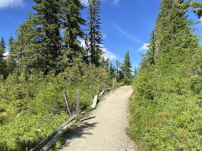 Mowich Lake Campground Picture 6