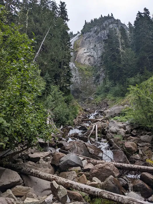 Mowich Lake Campground Picture 10