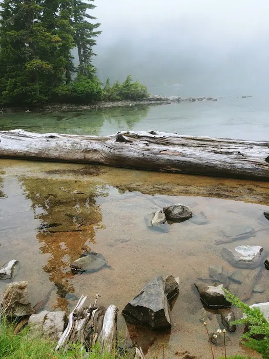 Mowich Lake Campground Picture 9