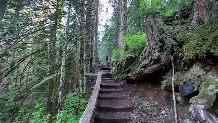 Denny Creek Campground Picture 2