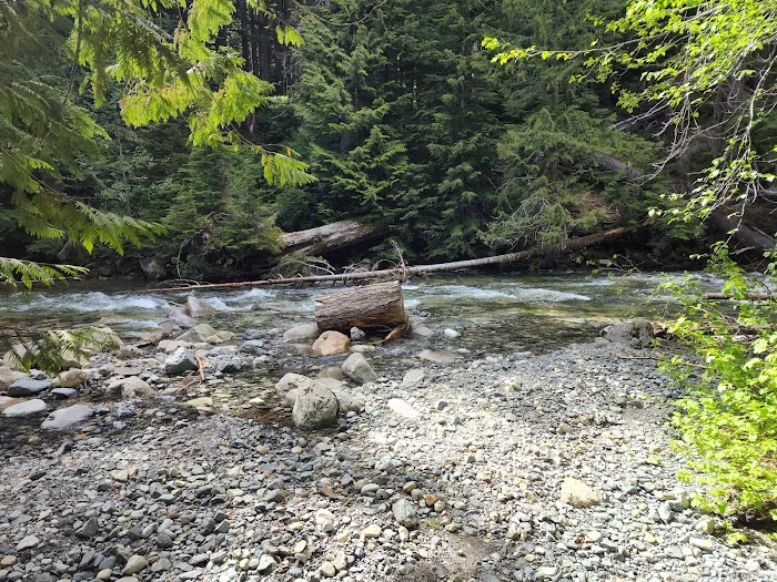 Denny Creek Campground Picture 6