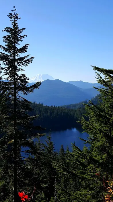 Denny Creek Campground Picture 1
