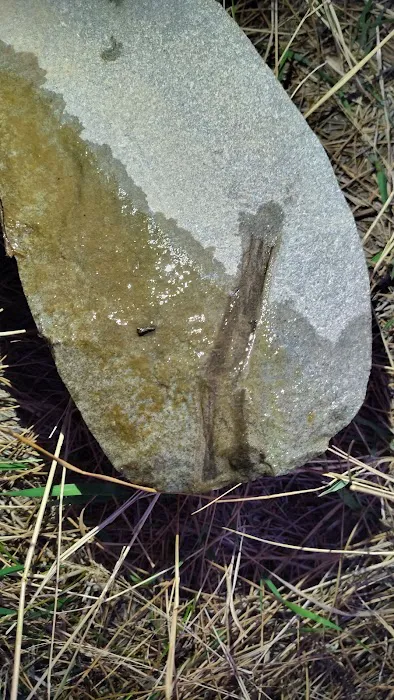 Roaring Creek Campground Picture 3