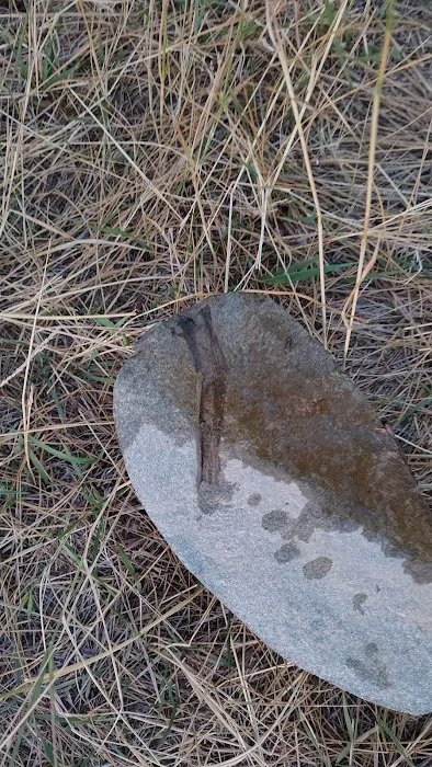 Roaring Creek Campground Picture 4