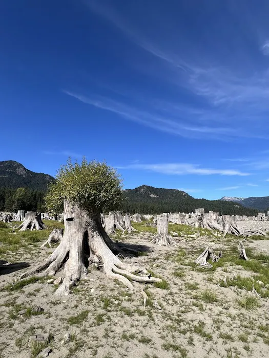 Roaring Creek Campground Picture 10