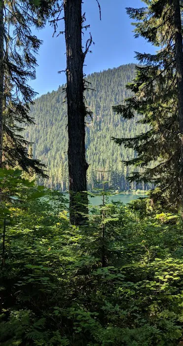 Owhi Campground Picture 7