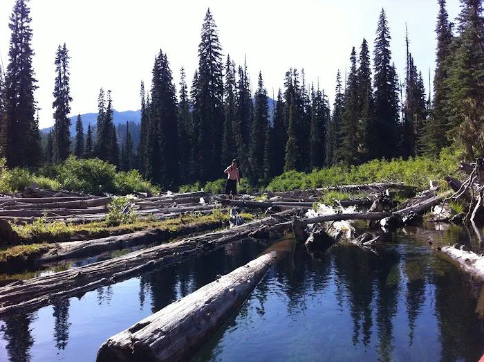 Owhi Campground Picture 3