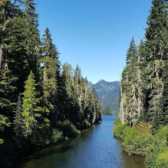 Owhi Campground Picture 6