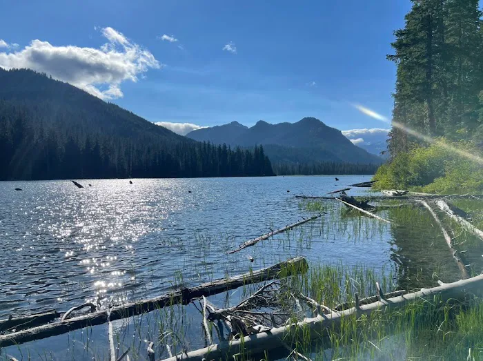 Owhi Campground Picture 5