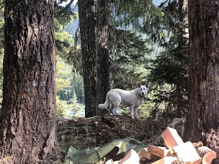 Owhi Campground Picture 10