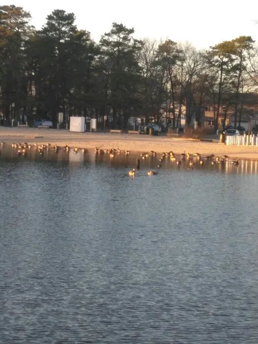 Barker's Village Picture 4