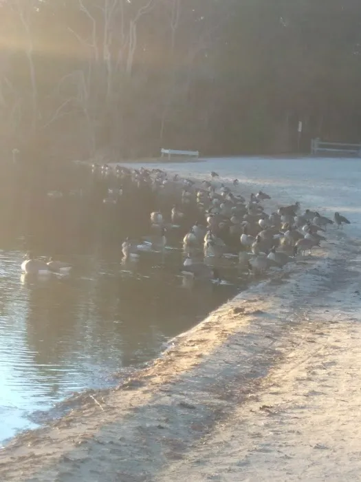 Barker's Village Picture 9