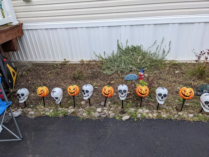 Bob Mobile Home Park Picture 2