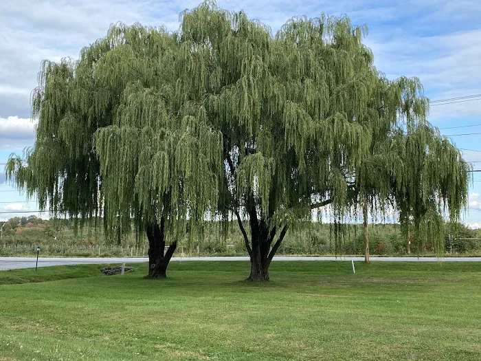 Candlestick Picture 6