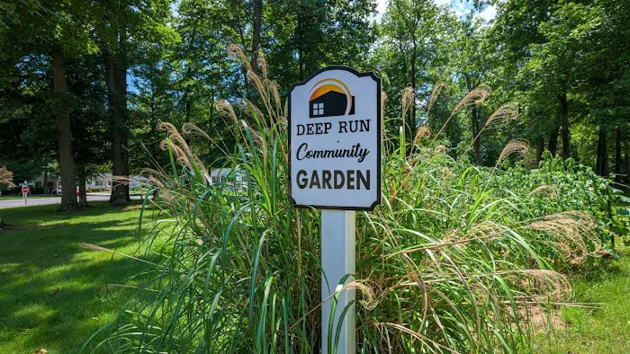 Deep Run Picture 7