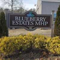 BLUEBERRY STATES MHP ico