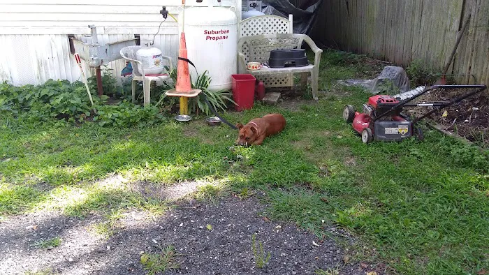 BLUEBERRY STATES MHP Picture 3