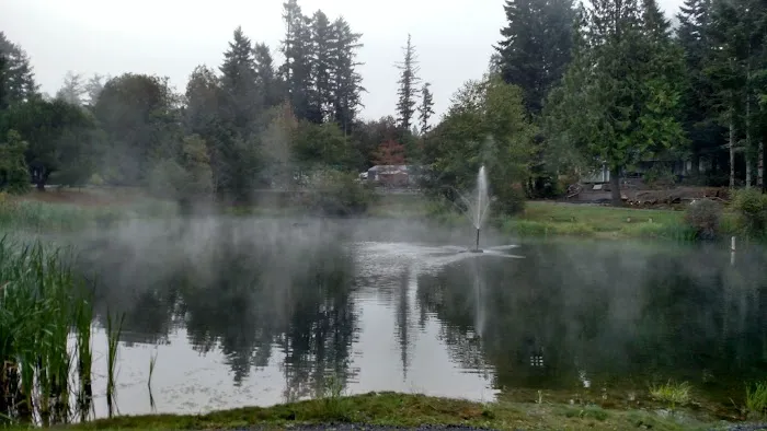 Pleasant Forest Camping Club Picture 3