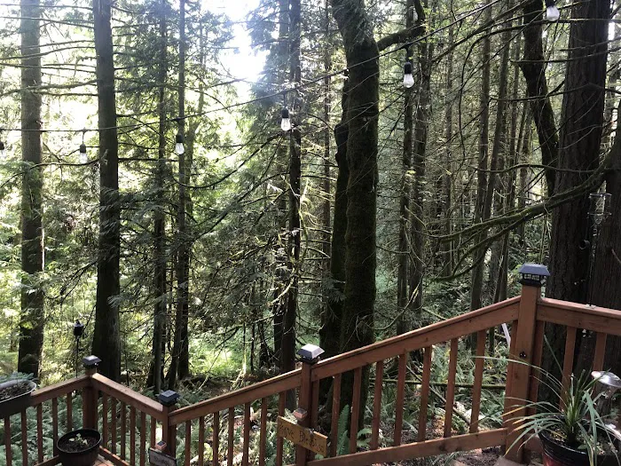 Pleasant Forest Camping Club Picture 6