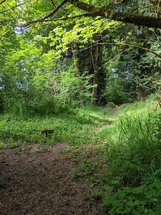 Camp Nisqually Picture 1