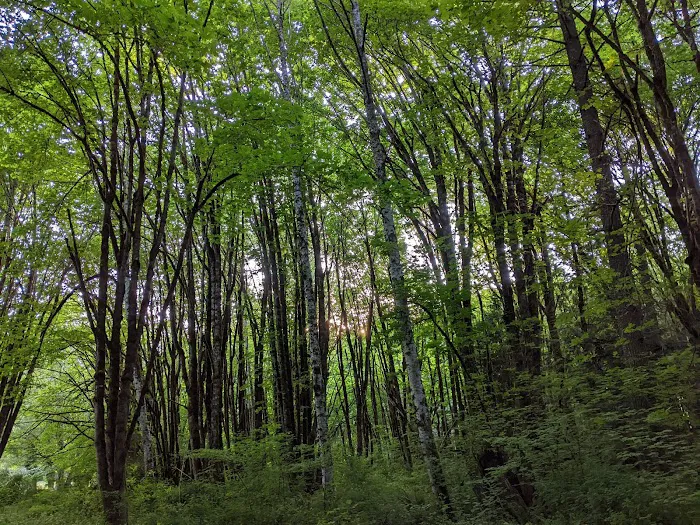 Camp Nisqually Picture 4