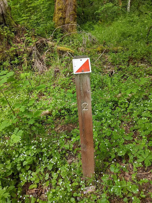 Camp Nisqually Picture 3