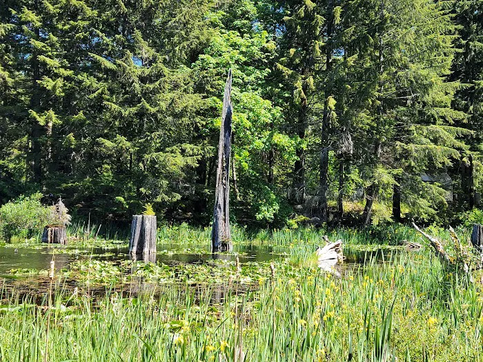 Buck Lake Campground (Private Campground) Picture 6