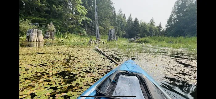 Buck Lake Campground (Private Campground) Picture 10