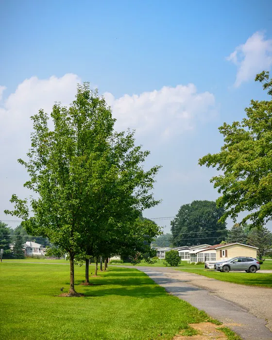 Tally Ho Estates Picture 9