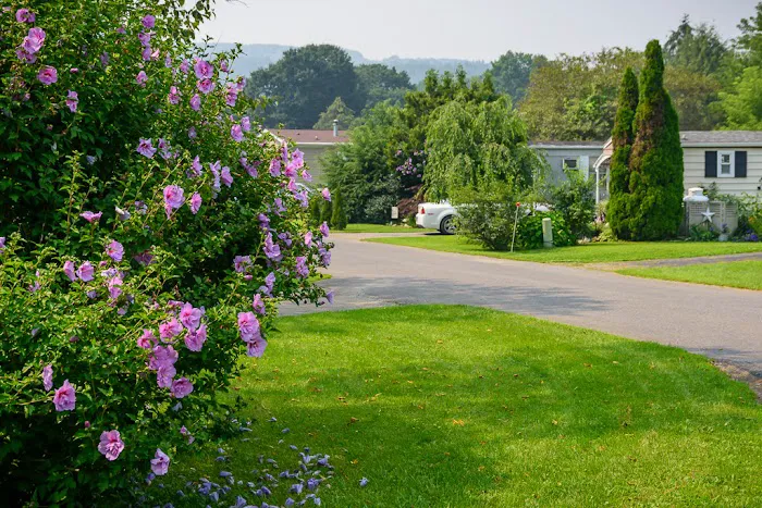 Tally Ho Estates Picture 7