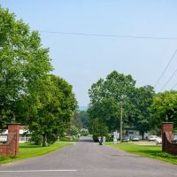 Tally Ho Estates ico