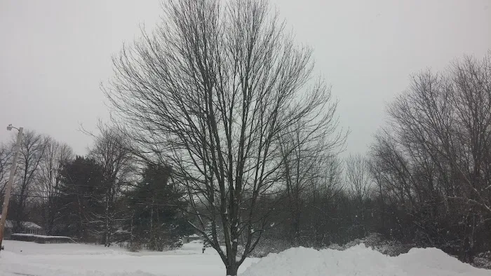 Bel Air Park Picture 1