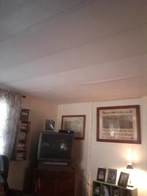 Bel Air Park Picture 3