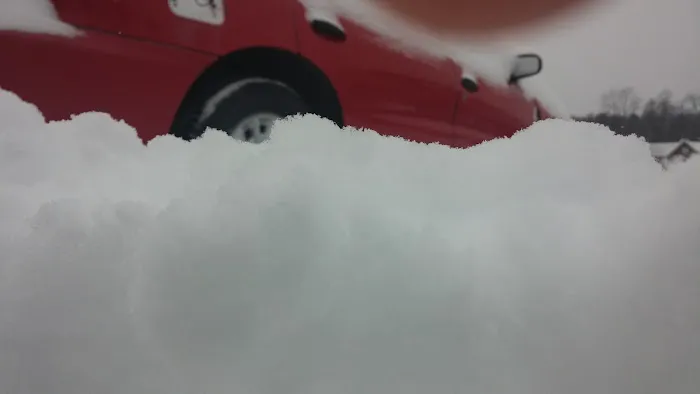 Bel Air Park Picture 2