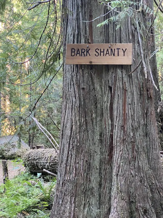 Bark Shanty Campsite Picture 7