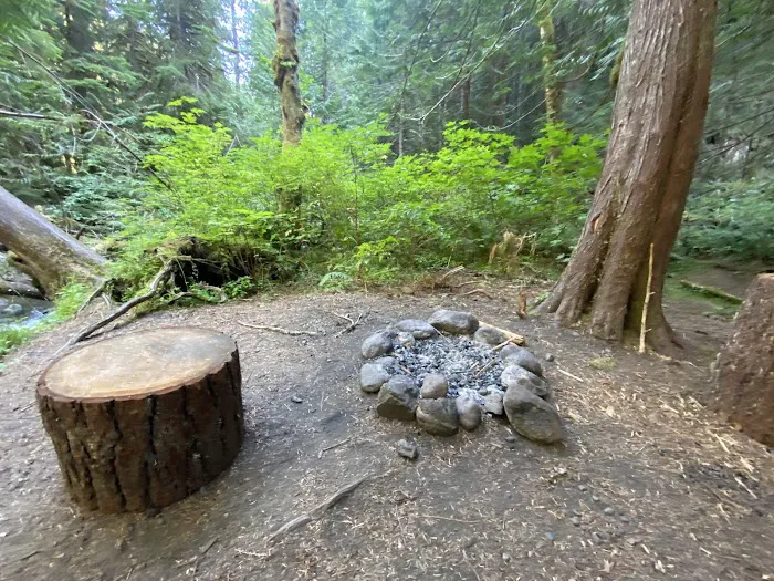 Bark Shanty Campsite Picture 10