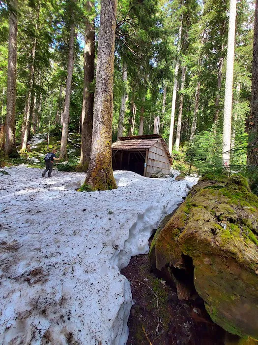 Tunnel Creek via Big Quilcene Road Trailhead Picture 3