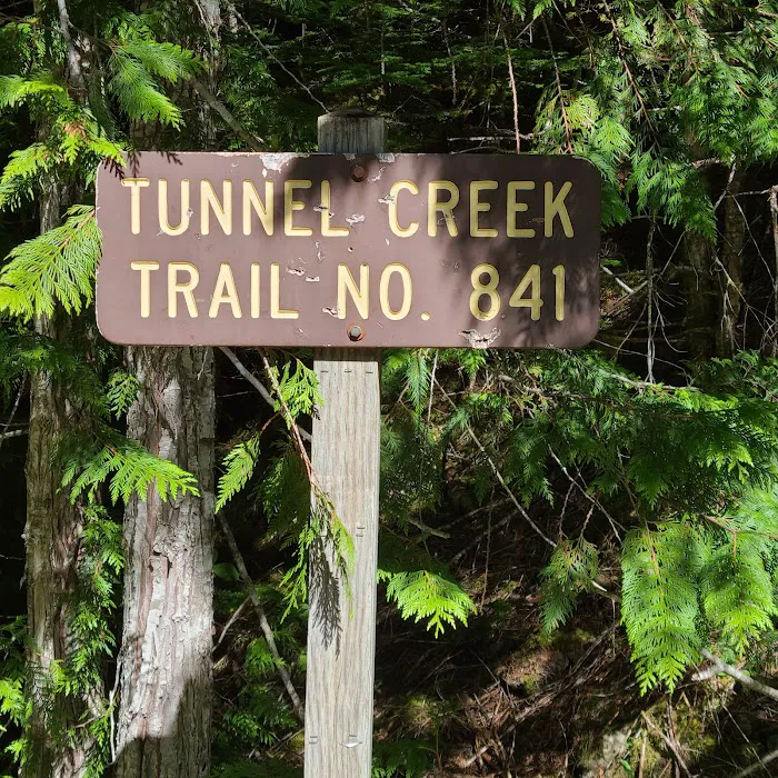 Tunnel Creek via Big Quilcene Road Trailhead Picture 5