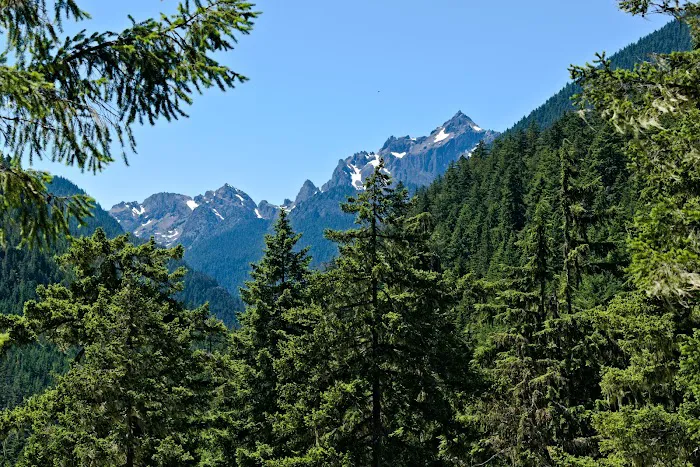 Tunnel Creek via Big Quilcene Road Trailhead Picture 4