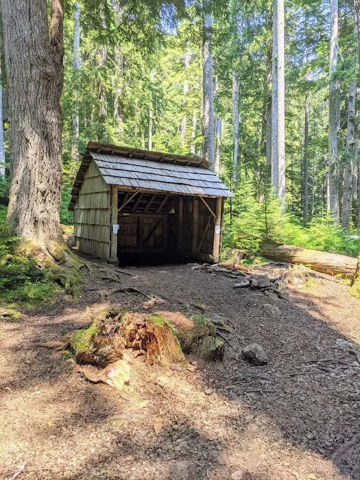 Tunnel Creek via Big Quilcene Road Trailhead Picture 7