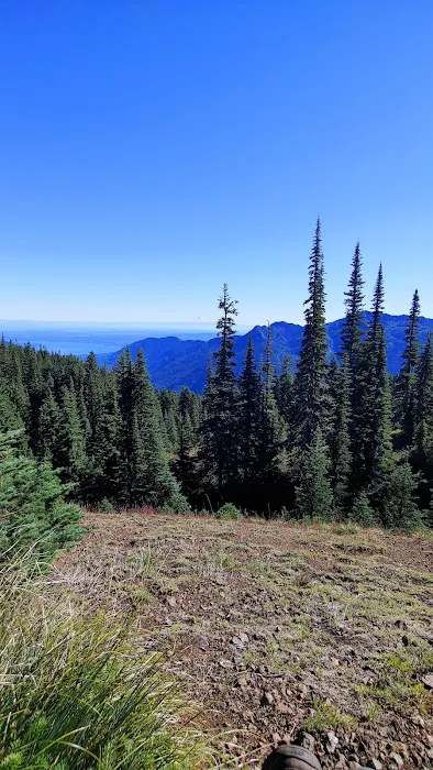 Tunnel Creek via Big Quilcene Road Trailhead Picture 9