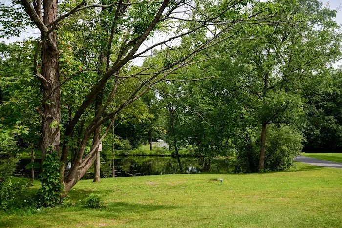 Catskill Pond Picture 8